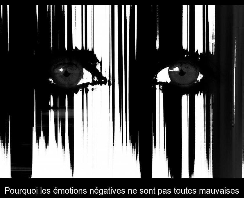 Pourquoi les émotions négatives ne sont pas toutes mauvaises Pourquoi les émotions négatives ne sont pas toutes mauvaises