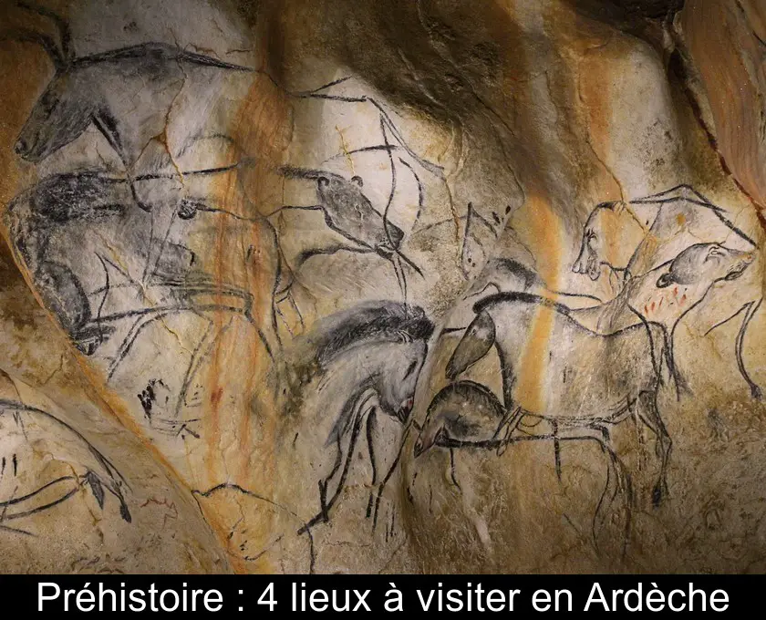 Préhistoire : 4 lieux à visiter en Ardèche