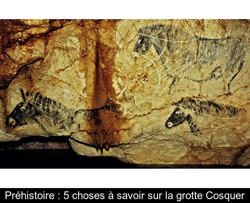 Préhistoire : 5 choses à savoir sur la grotte Cosquer