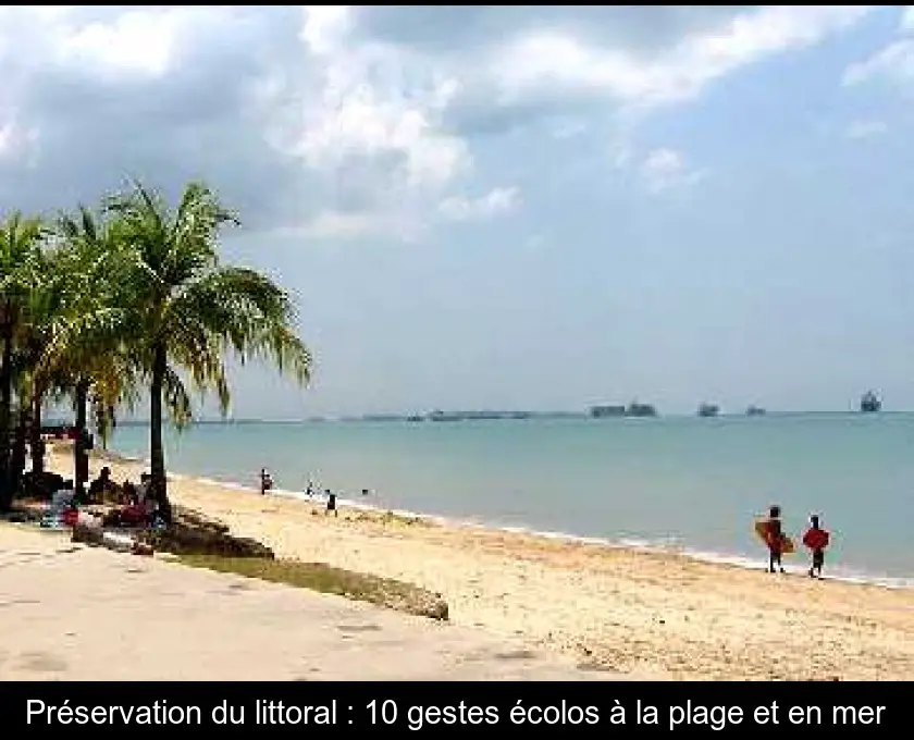Préservation du littoral : 10 gestes écolos à la plage et en mer