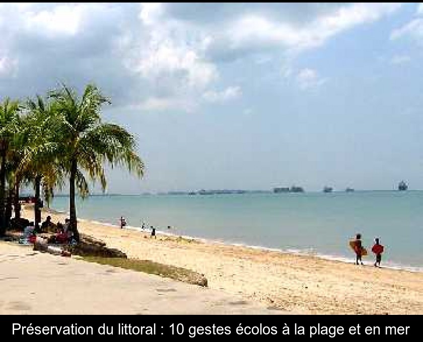 Préservation du littoral : 10 gestes écolos à la plage et en mer Préservation du littoral : 10 gestes écolos à la plage et en mer