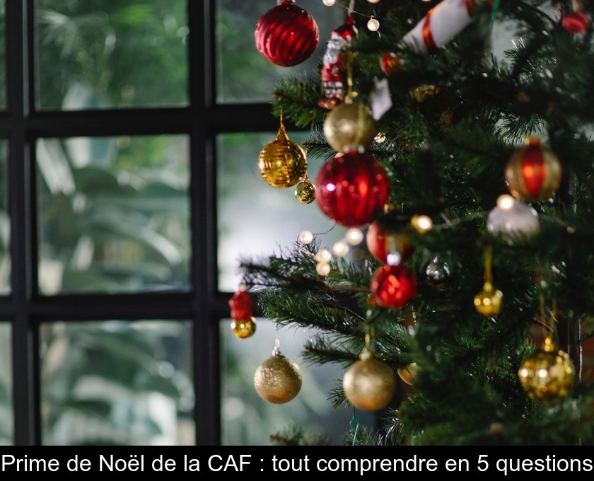 Prime de Noël de la CAF : tout comprendre en 5 questions