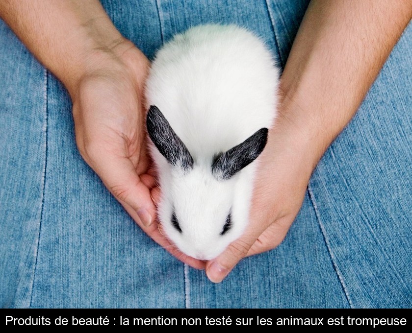 Produits de beauté : la mention non testé sur les animaux est trompeuse