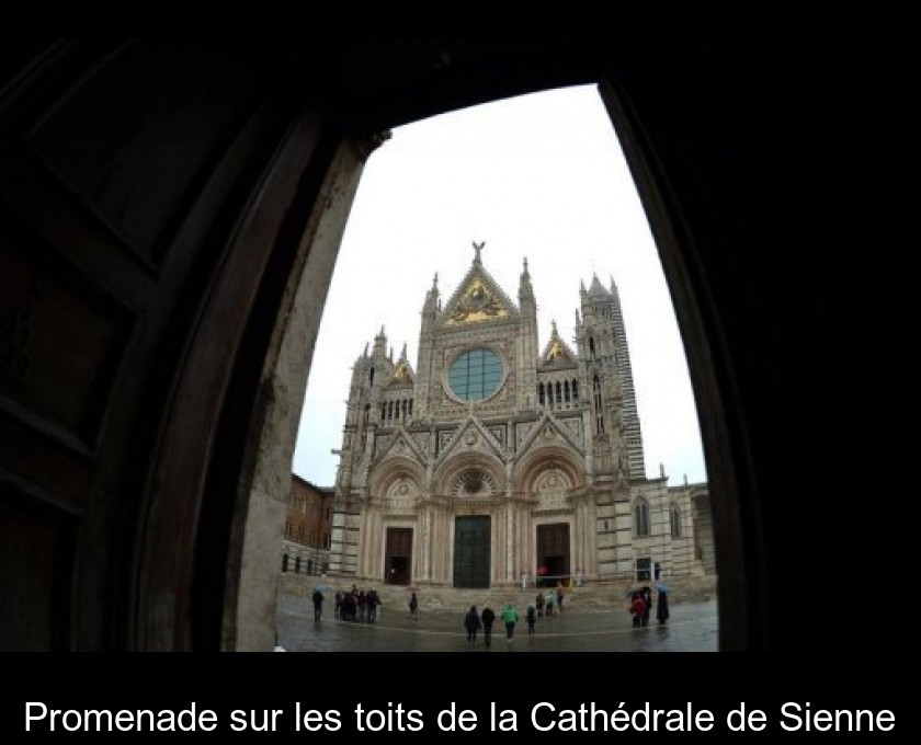 Promenade sur les toits de la Cathédrale de Sienne Promenade sur les toits de la Cathédrale de Sienne