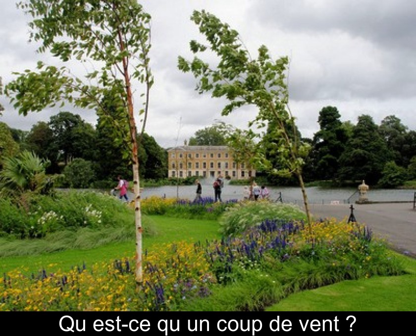 Qu'est-ce qu'un coup de vent ? Qu'est-ce qu'un coup de vent ?