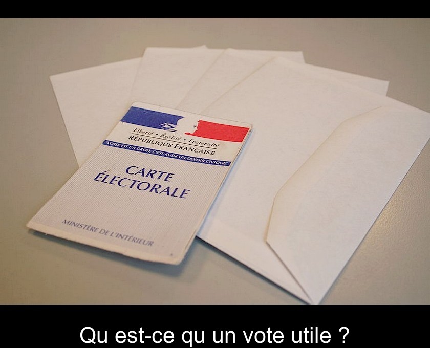 Qu'est-ce qu'un vote utile ? Qu'est-ce qu'un vote utile ?