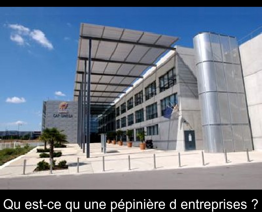 Qu'est-ce qu'une pépinière d'entreprises ? Qu'est-ce qu'une pépinière d'entreprises ?
