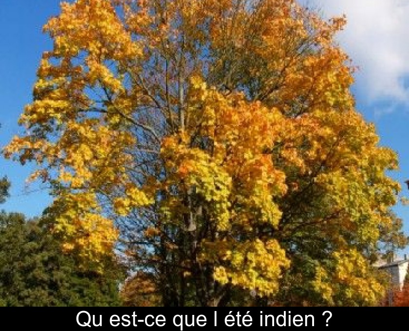 Qu'est-ce que l'été indien ?