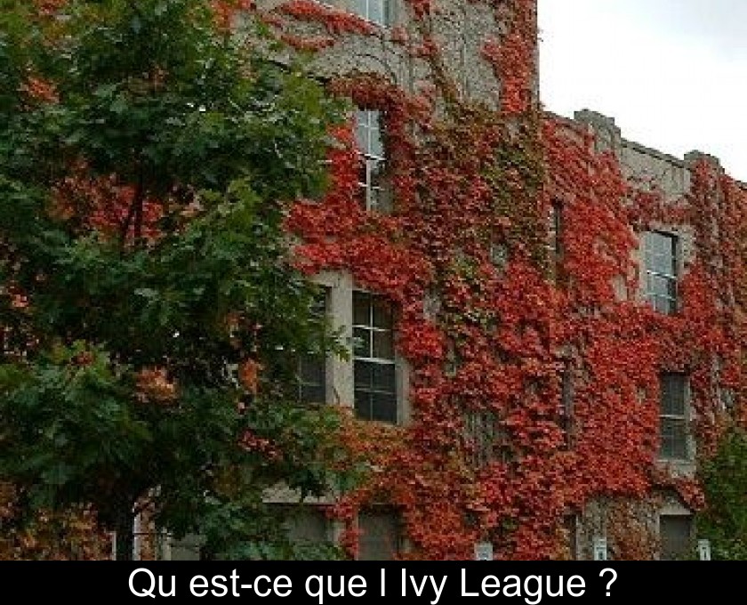 Qu'est-ce que l'Ivy League ?