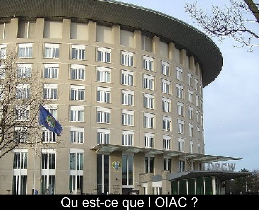 Qu'est-ce que l'OIAC ? Qu'est-ce que l'OIAC ?