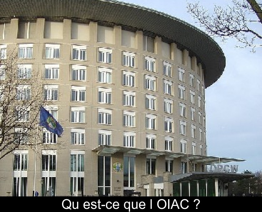 Qu'est-ce que l'OIAC ?