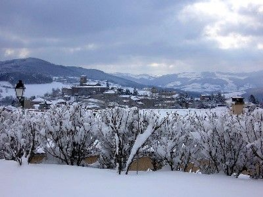 Qu'est-ce que la neige ? Qu'est-ce que la neige ?
