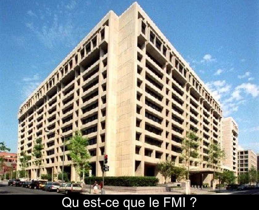 Qu'est-ce que le FMI ? Qu'est-ce que le FMI ?