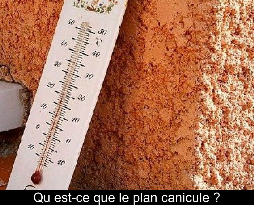 Qu'est-ce que le plan canicule ? Qu'est-ce que le plan canicule ?
