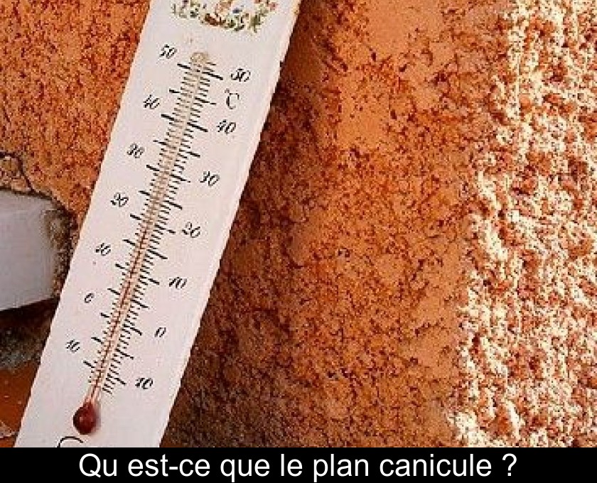 Qu'est-ce que le plan canicule ?