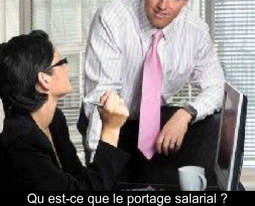 Qu'est-ce que le portage salarial ? Qu'est-ce que le portage salarial ?
