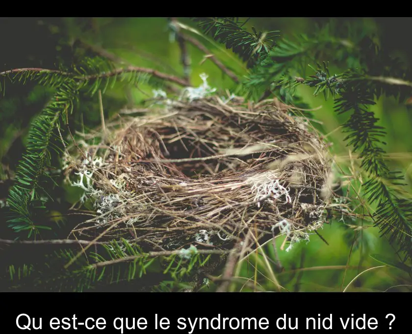 Qu'est-ce que le syndrome du nid vide ?