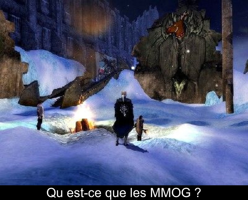 Qu'est-ce que les MMOG ? Qu'est-ce que les MMOG ?