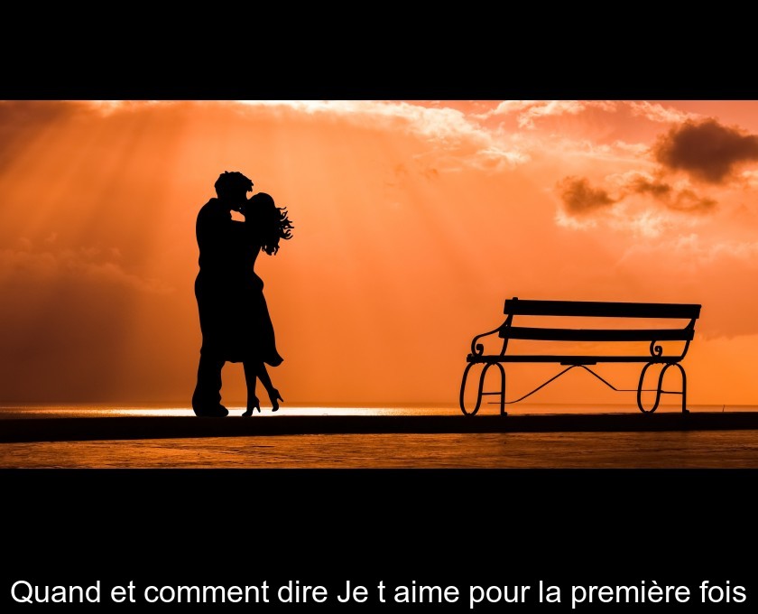 Quand et comment dire Je t'aime pour la première fois Quand et comment dire Je t'aime pour la première fois
