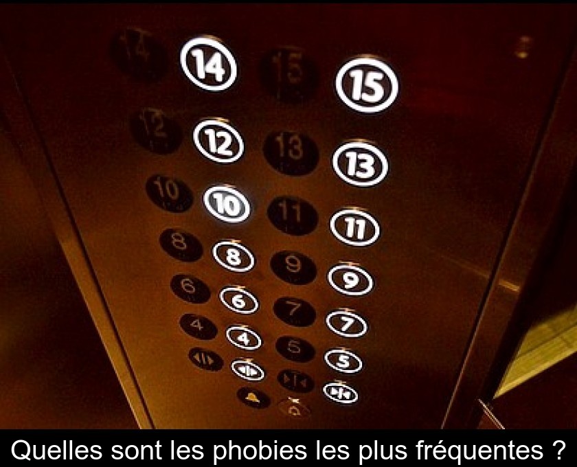 Quelles sont les phobies les plus fréquentes ? Quelles sont les phobies les plus fréquentes ?