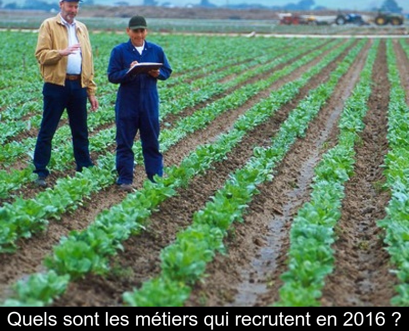 Quels sont les métiers qui recrutent en 2016 ? Quels sont les métiers qui recrutent en 2016 ?