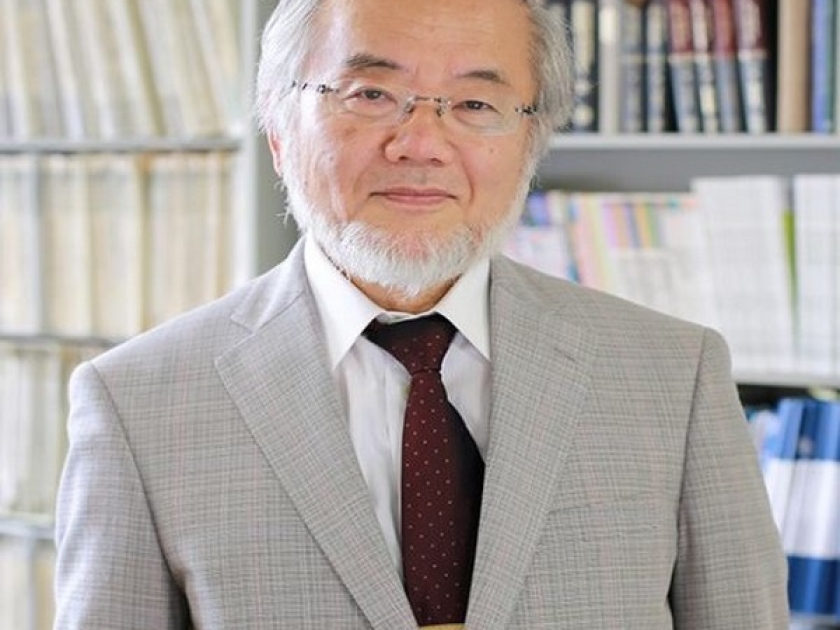 Qui est Yoshinori Ohsumi, le prix Nobel de médecine 2016 ? Qui est Yoshinori Ohsumi, le prix Nobel de médecine 2016 ?