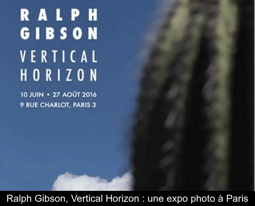 Ralph Gibson, Vertical Horizon : une expo photo à Paris
