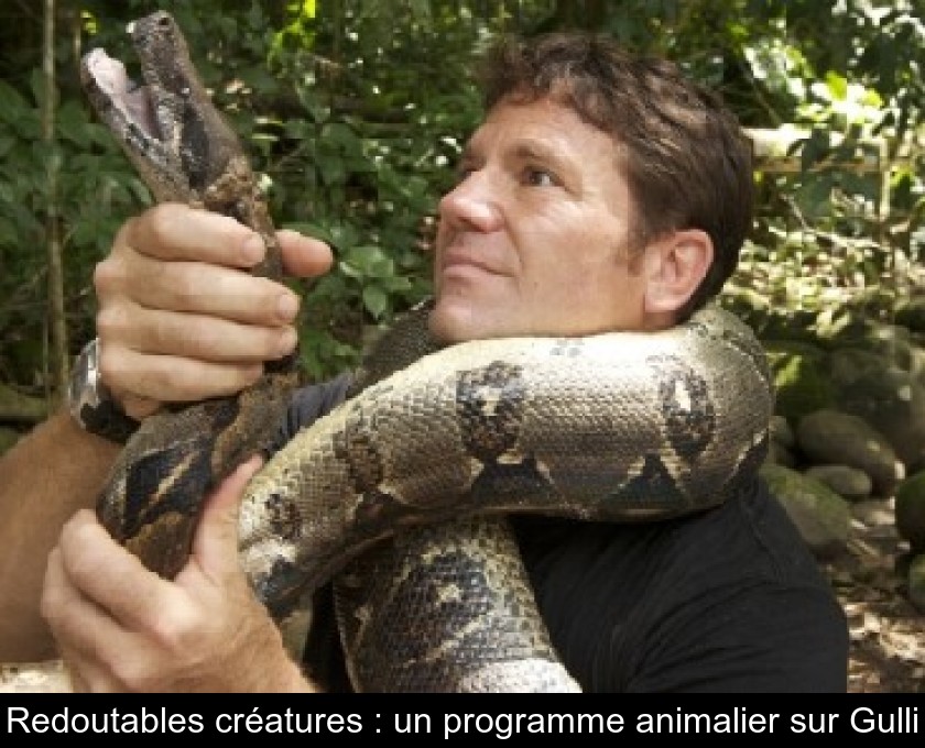 Redoutables créatures : un programme animalier sur Gulli