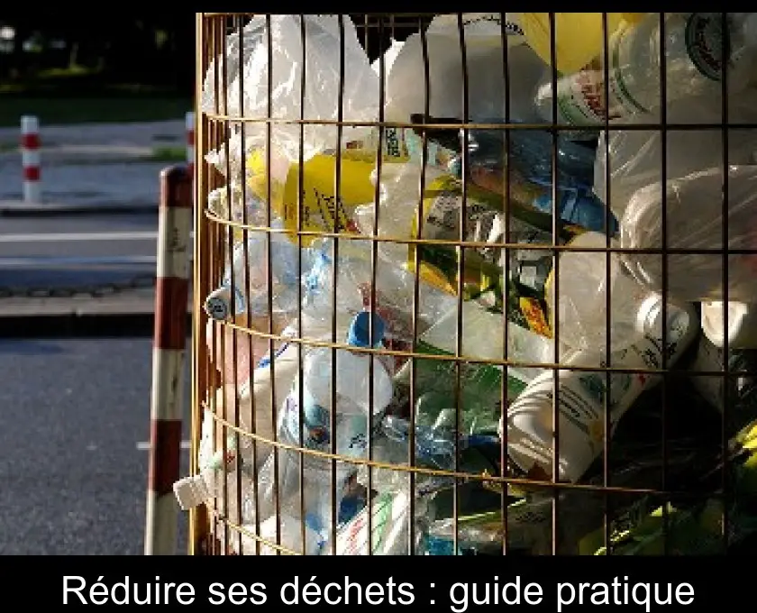 Réduire ses déchets : guide pratique