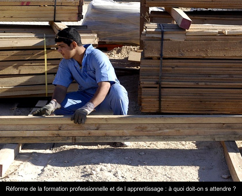 Réforme de la formation professionnelle et de l'apprentissage : à quoi doit-on s'attendre ? Réforme de la formation professionnelle et de l'apprentissage : à quoi doit-on s'attendre ?