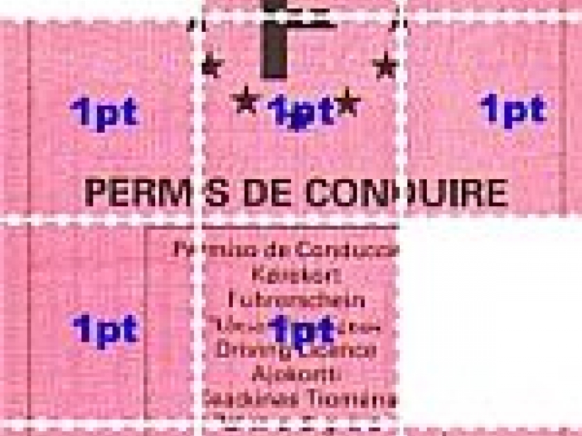 Réforme du permis à points Réforme du permis à points