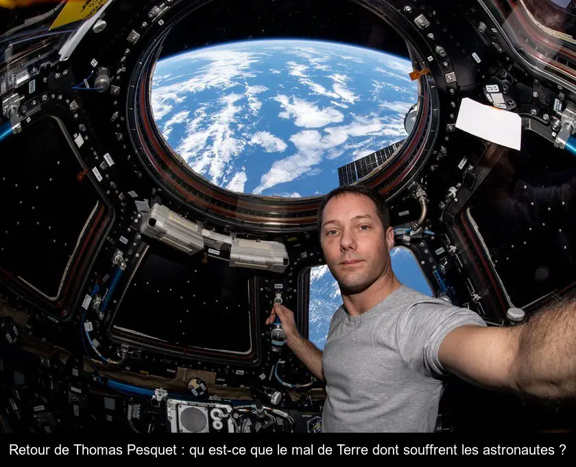 Retour de Thomas Pesquet : qu'est-ce que le mal de Terre dont souffrent les astronautes ?
