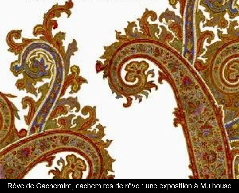 Rêve de Cachemire, cachemires de rêve : une exposition à Mulhouse