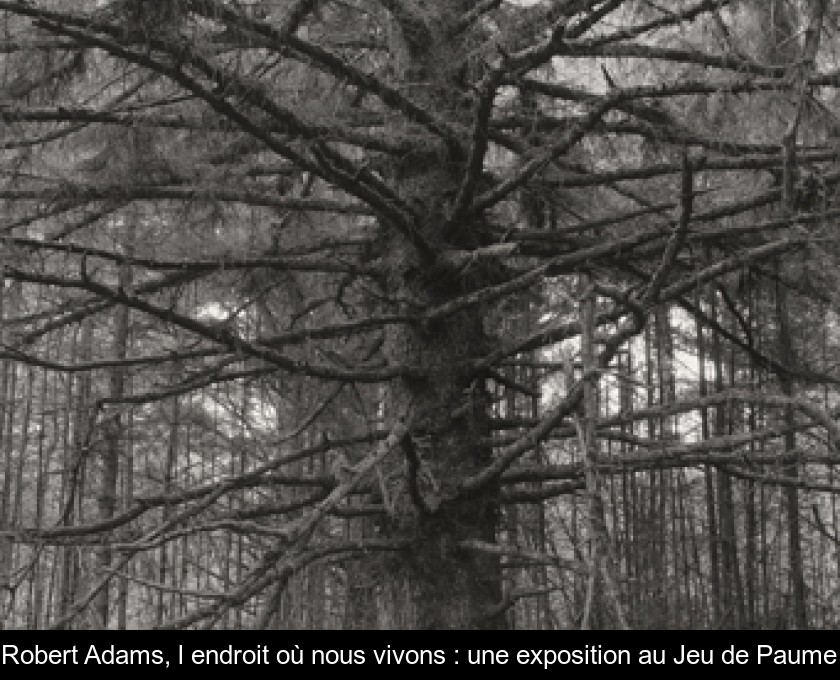 Robert Adams, l'endroit où nous vivons : une exposition au Jeu de Paume Robert Adams, l'endroit où nous vivons : une exposition au Jeu de Paume