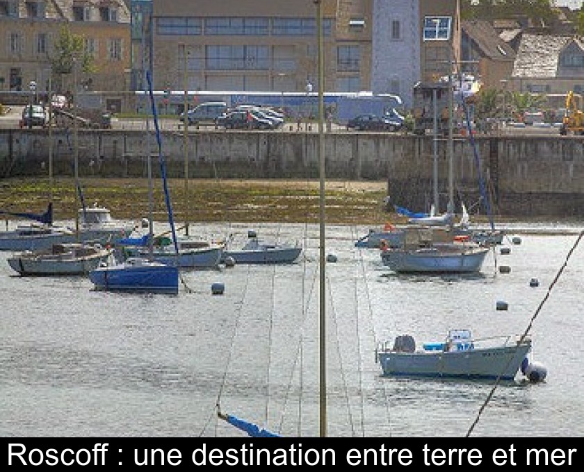 Roscoff : une destination entre terre et mer Roscoff : une destination entre terre et mer