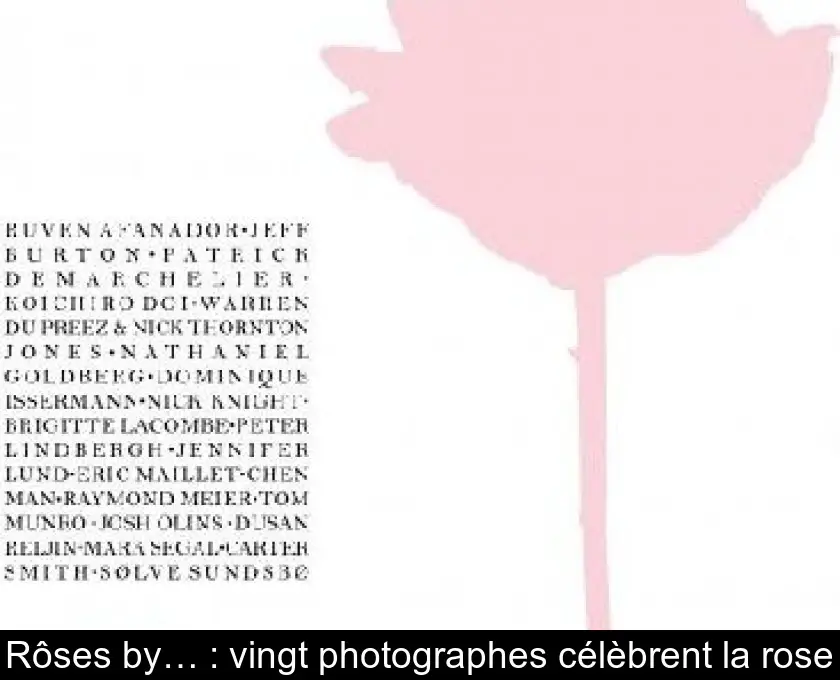 Rôses by… : vingt photographes célèbrent la rose