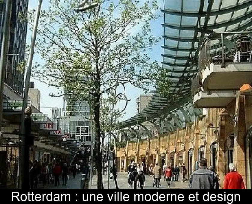 Rotterdam : une ville moderne et design