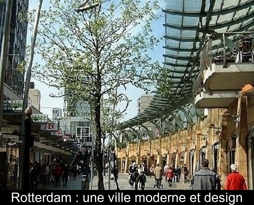Rotterdam : une ville moderne et design Rotterdam : une ville moderne et design