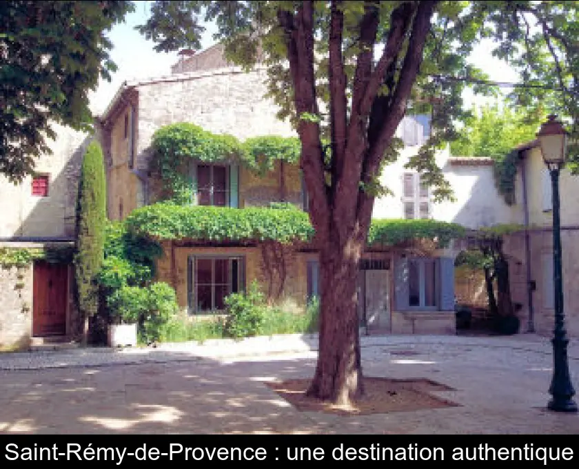 Saint-Rémy-de-Provence : une destination authentique