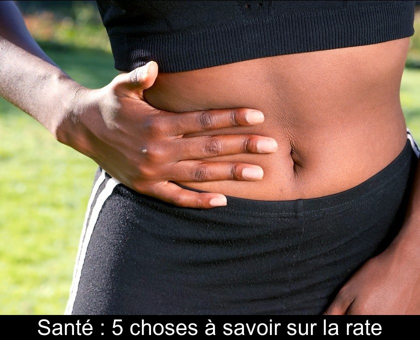 Santé : 5 choses à savoir sur la rate Santé : 5 choses à savoir sur la rate