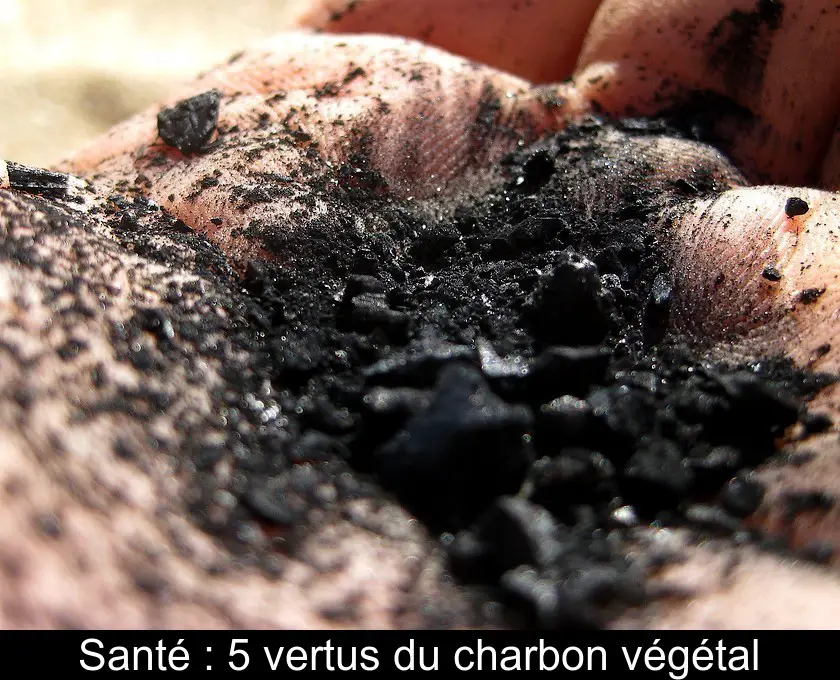 Santé : 5 vertus du charbon végétal