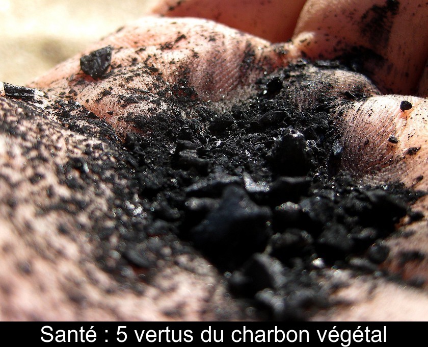 Santé : 5 vertus du charbon végétal Santé : 5 vertus du charbon végétal