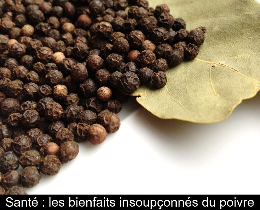Santé : les bienfaits insoupçonnés du poivre Santé : les bienfaits insoupçonnés du poivre
