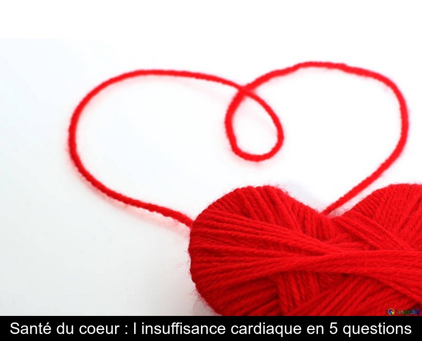 Santé du coeur : l'insuffisance cardiaque en 5 questions Santé du coeur : l'insuffisance cardiaque en 5 questions