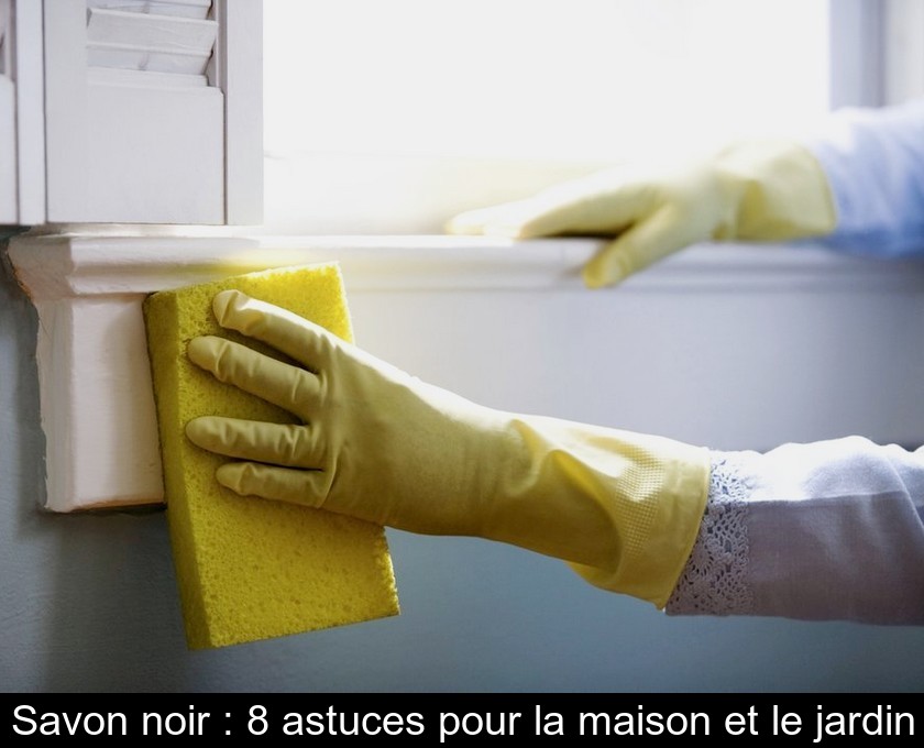 Savon noir : 8 astuces pour la maison et le jardin