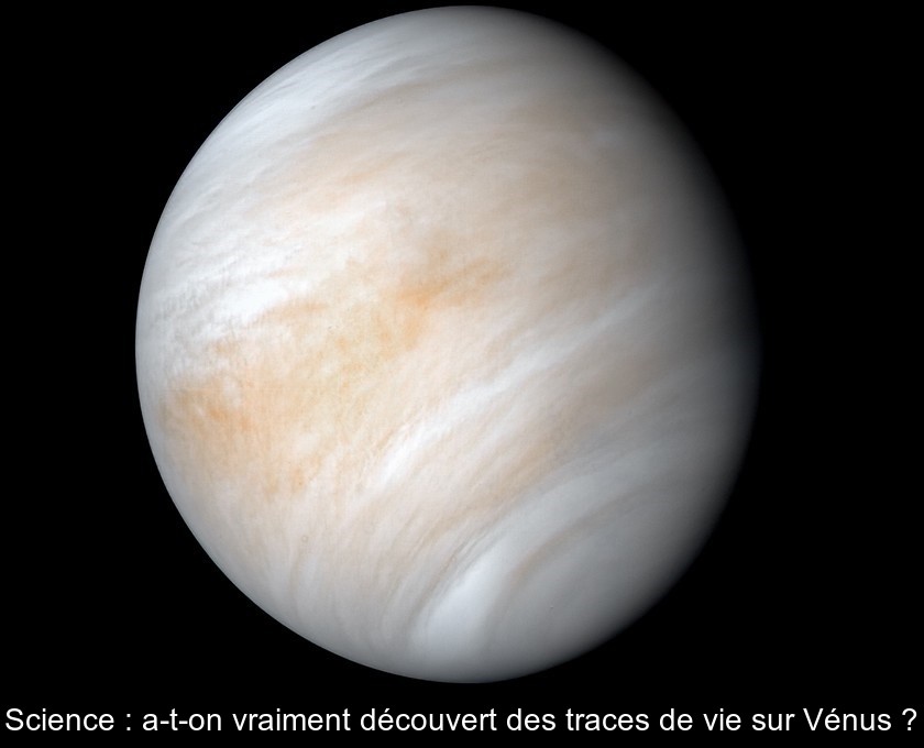 Science : a-t-on vraiment découvert des traces de vie sur Vénus ?