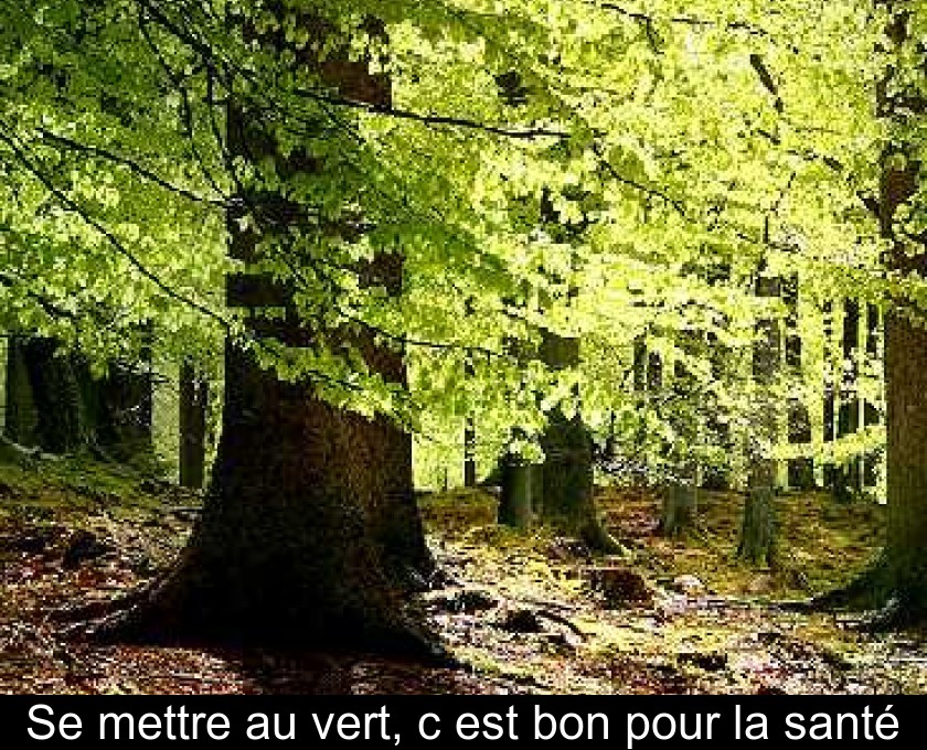 Se mettre au vert, c'est bon pour la santé Se mettre au vert, c'est bon pour la santé