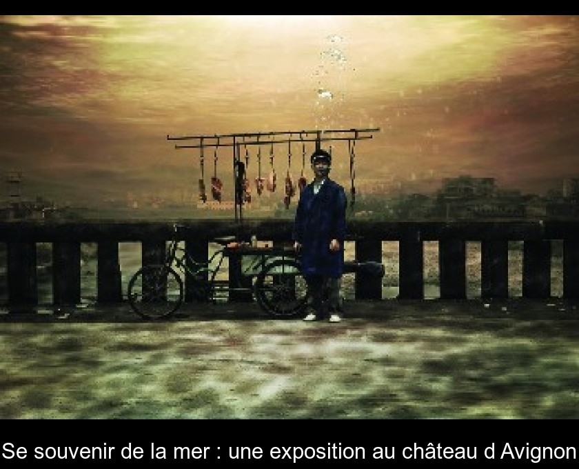Se souvenir de la mer : une exposition au château d'Avignon Se souvenir de la mer : une exposition au château d'Avignon