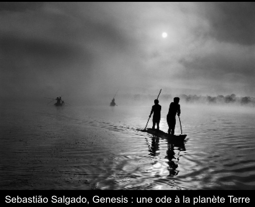 Sebastião Salgado, Genesis : une ode à la planète Terre