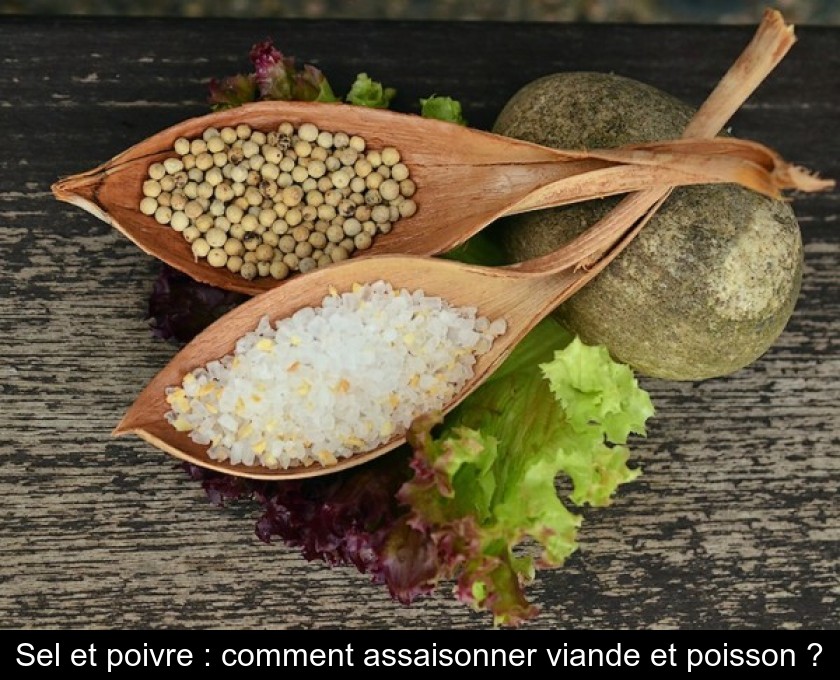 Sel et poivre : comment assaisonner viande et poisson ?